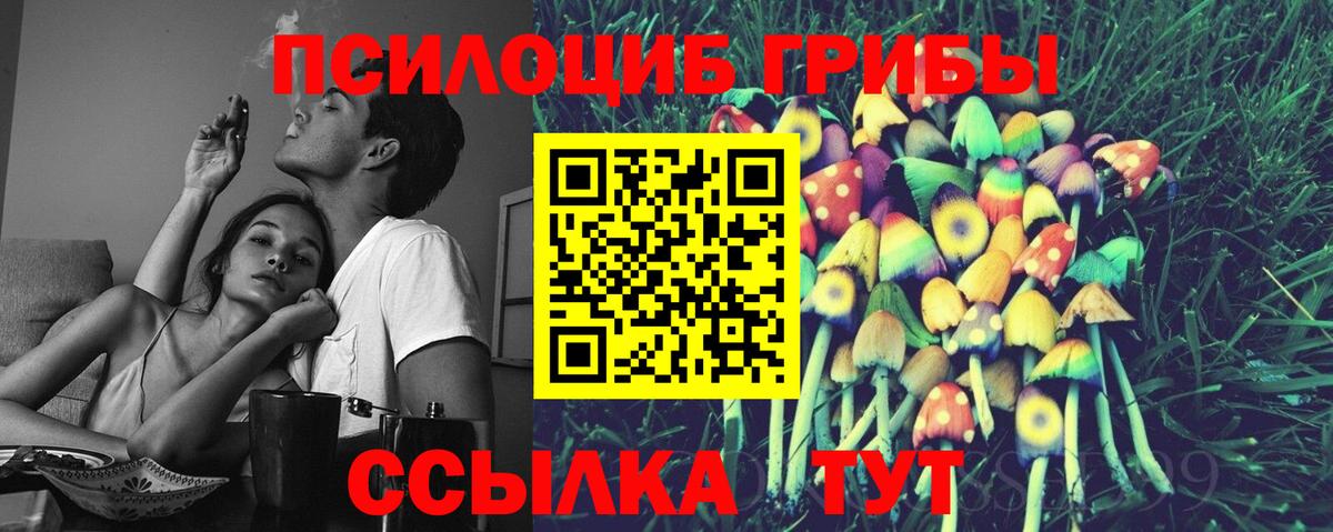 Псилоцибиновые грибы мухоморы Крымск