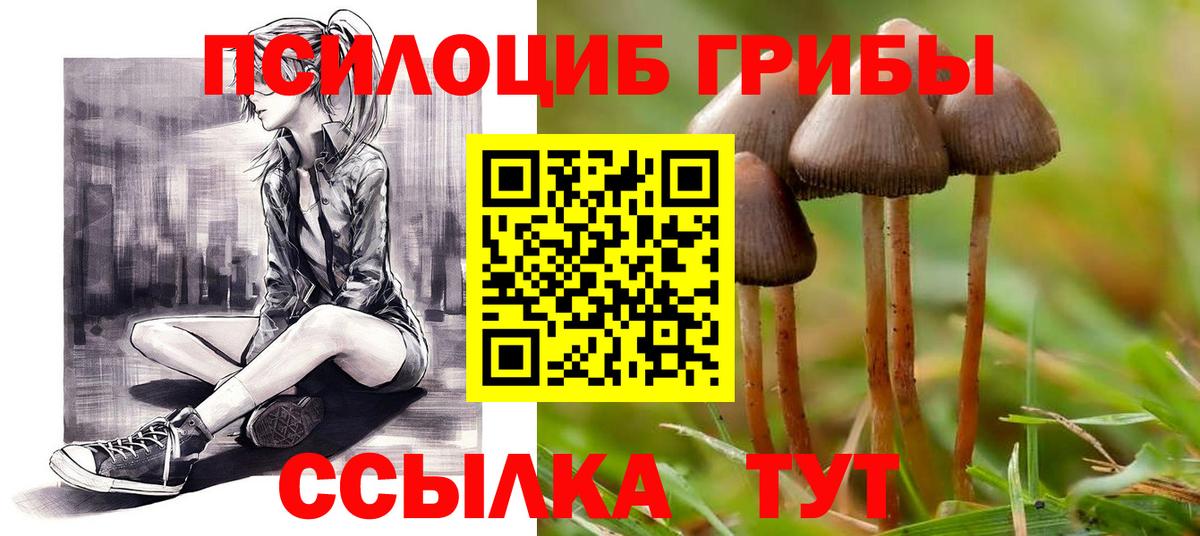 Крымск  Псилоцибиновые грибы MAGIC MUSHROOMS  Вход с VPN  Галлюциногенные грибы Psilocybine cubensis 